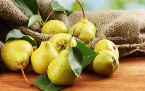 Bài thuốc trị bệnh từ quả lê
